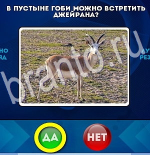 Да или Нет игра помощь Уровень 2935