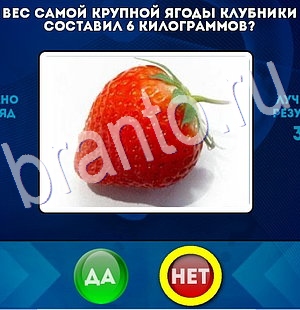Игра Да или Нет подсказки Уровень 2938