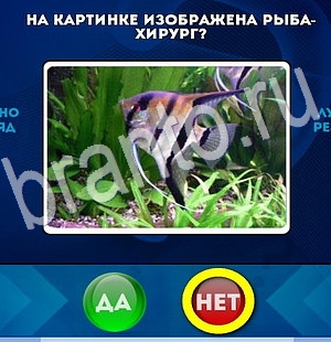 Подсказки на игру Да или Нет Уровень 2942