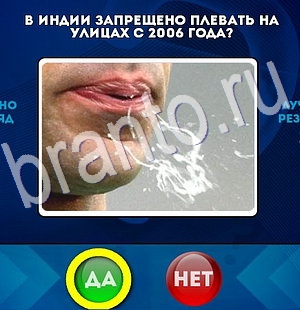 Решения на игру Да или Нет Уровень 2943