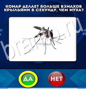ответы на игру в одноклассниках Да или Нет Уровень 2946