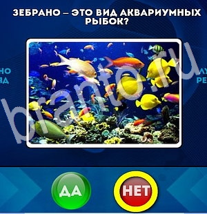 Да или Нет подсказки в контакте Уровень 2949