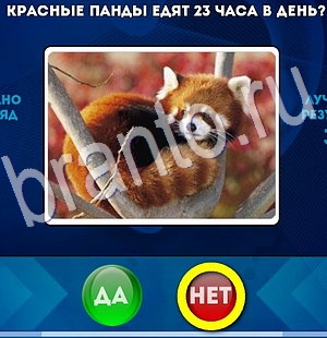 Да или Нет игра подсказки Уровень 2954