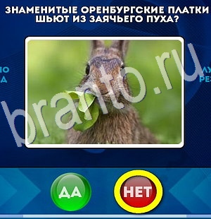 игра Да или Нет ответ на Уровень 2960