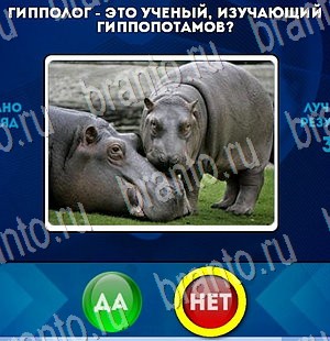 ответы на игру Да или Нет в одноклассниках Уровень 3001