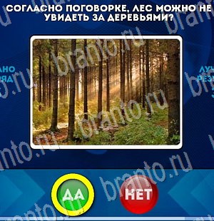 Да или Нет игра подсказки Уровень 3024