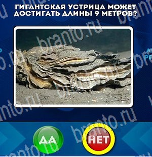 Одноклассники Да или Нет ответы Уровень 3038