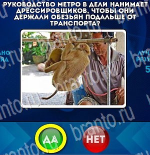 игра Да или Нет помощь Уровень 3059