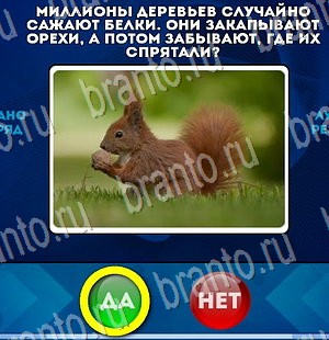 Решения на игру Да или Нет Уровень 3063