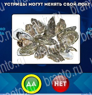 решебник на игру Да или Нет Уровень 3071