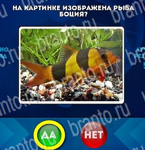 Игра Да или Нет подсказки Уровень 3078