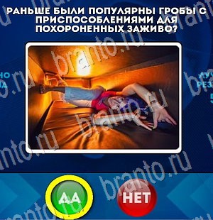 решебник на игру Да или Нет Уровень 3081