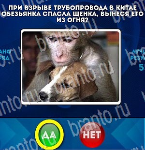 Да или Нет игра подсказки Уровень 3084
