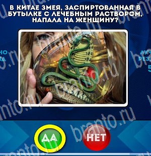 Игра Да или Нет подсказки Уровень 3088