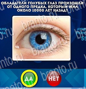 Решения на игру Да или Нет Уровень 3093