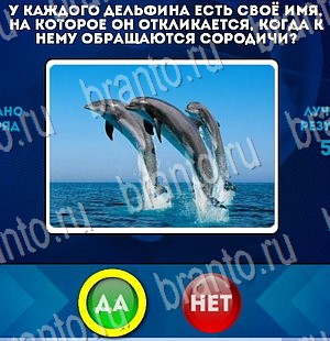 Помощь на игру ВК Да или Нет Уровень 3094