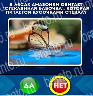 решебник на игру Да или Нет Уровень 3111