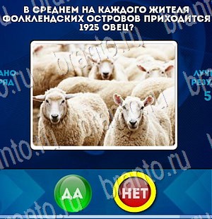 Да или Нет игра ответы Уровень 3113