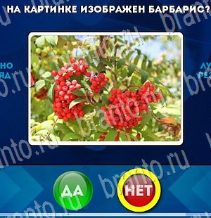 Игра Да или Нет подсказки Уровень 3118