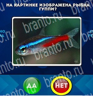 Решения на игру Да или Нет Уровень 3153