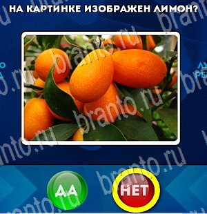 ответы на игру в одноклассниках Да или Нет Уровень 3156
