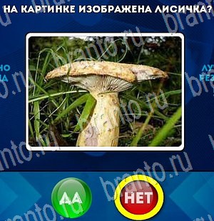 Да или Нет игра помощь Уровень 3165