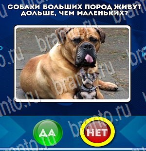 игра Да или Нет ответ на Уровень 3180
