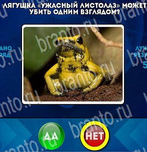 Подсказки на игру Да или Нет Уровень 3182