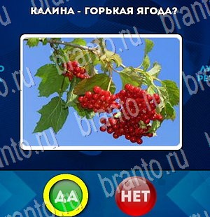 Одноклассники Да или Нет ответы Уровень 3188