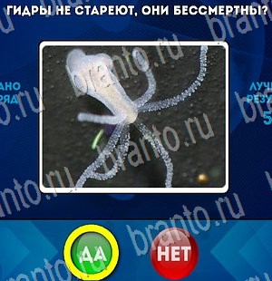 игра Да или Нет ответ на Уровень 3190