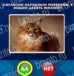 Да или Нет ответы в картинках Уровень 3206