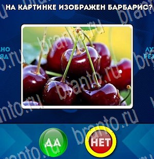 Да или Нет игра ответы в одноклассниках Уровень 3217