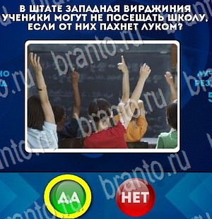 Да или Нет решения Уровень 3222