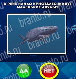 Игра Да или Нет ответы Уровень 3227