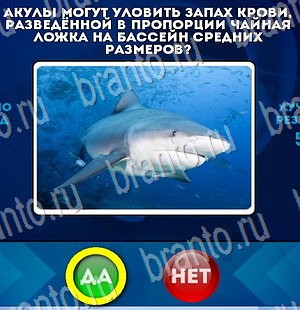 Подсказки на игру Да или Нет Уровень 3242