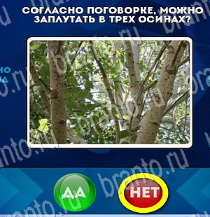 игра Да или Нет ответ на Уровень 3250