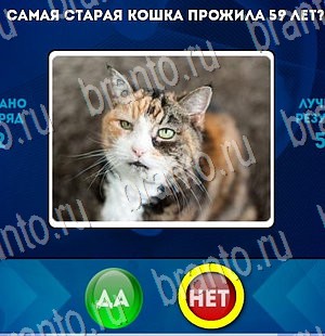 Да или Нет игра подсказки Уровень 3254