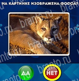 Помощь на игру ВК Да или Нет Уровень 3274