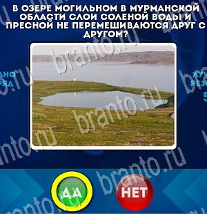 решебник на игру Да или Нет Уровень 3281