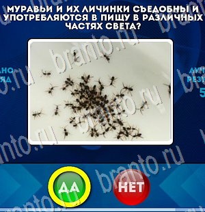 Да или Нет игра ответы Уровень 3293
