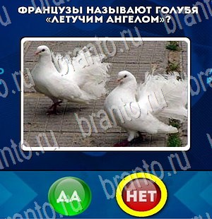 Да или Нет игра помощь Уровень 3295