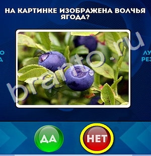 ответы на игру Да или Нет в одноклассниках Уровень 181