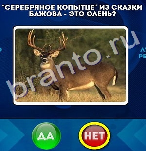 Подсказки на игру Да или Нет Уровень 182