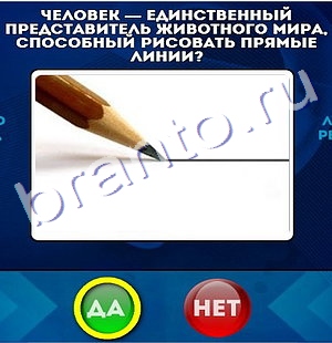 Одноклассники Да или Нет ответы Уровень 188