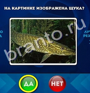 игра Да или Нет ответ на Уровень 190