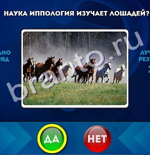 Да или Нет игра подсказки Уровень 194