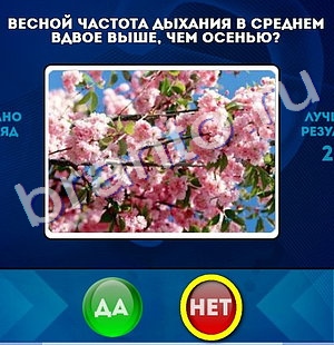 Да или Нет игра помощь Уровень 195