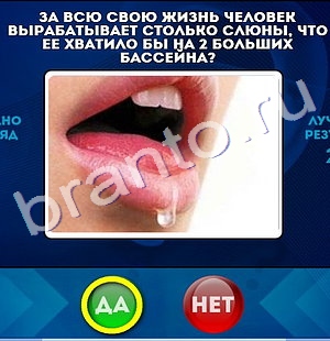 Подсказки на игру Да или Нет Уровень 242