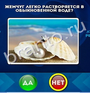 Помощь на игру ВК Да или Нет Уровень 244