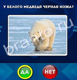 решебник на игру Да или Нет Уровень 251